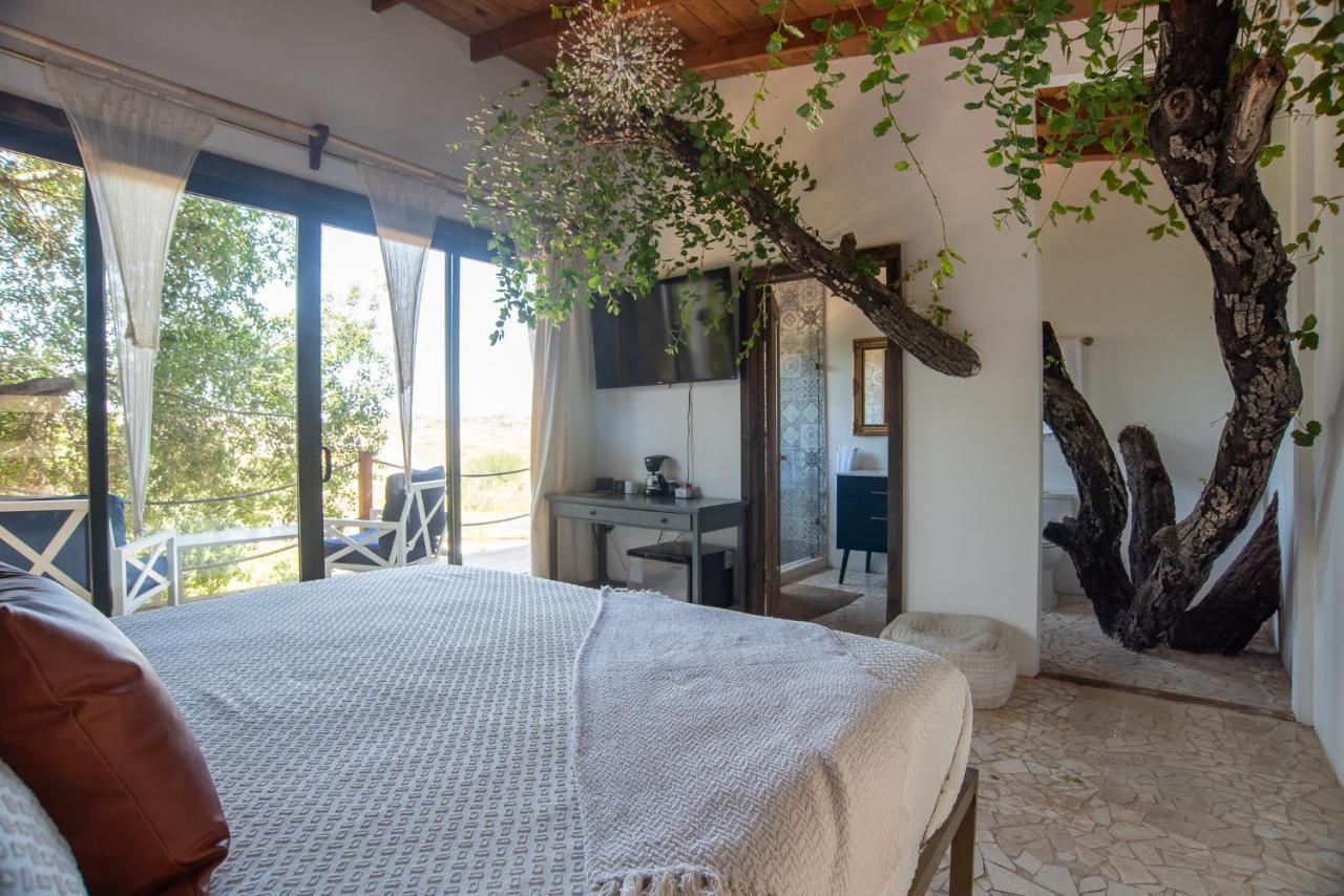 Boskenvid Hotel Boutique, Skypool Вале де Гуадалупе Екстериор снимка